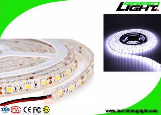 Τα υπαίθρια οδηγημένα φω'τα λουρίδων SMD5050 24V στεγανοποιούν 5 μέτρο ανά εξέλικτρο
