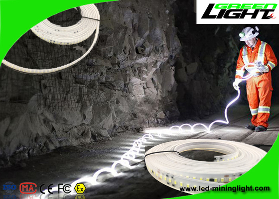 Εύκαμπτα φω'τα 24v 60 Leds λουρίδων των αδιάβροχων οδηγήσεων ανά μετρητή με την εξουσιοδότηση 1 έτους