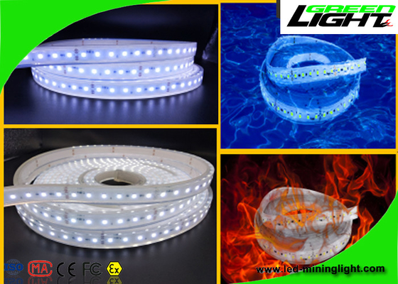 Εύκαμπτα φω'τα 24v 60 Leds λουρίδων των αδιάβροχων οδηγήσεων ανά μετρητή με την εξουσιοδότηση 1 έτους
