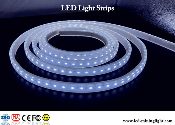 24V η έξοχη φωτεινή οδηγημένη λουρίδα ανάβει RGB SMD 5050 με τους αδιάβροχους συνδετήρες