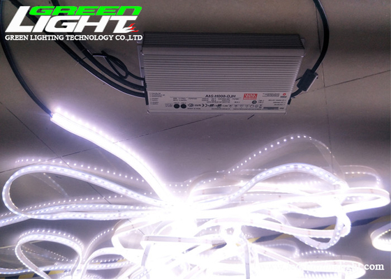 Εύκαμπτα φω'τα λουρίδων των οδηγήσεων DC36V 20m/Roll 12W 72LEDs/M