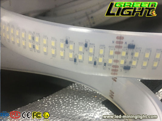 Διπλή οδηγημένη υπόλοιπος κόσμος λουρίδα SMD5050 33W/M 220VAC 2362lum εύκαμπτη