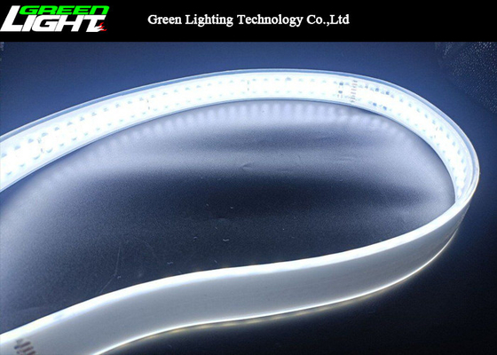Εύκαμπτο SMD5050 20m λουρίδες 144LEDs 220VAC των διπλών οδηγήσεων υπόλοιπου κόσμου