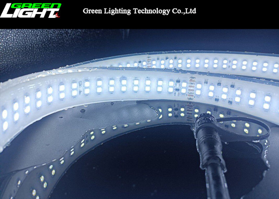 Εύκαμπτο SMD5050 20m λουρίδες 144LEDs 220VAC των διπλών οδηγήσεων υπόλοιπου κόσμου