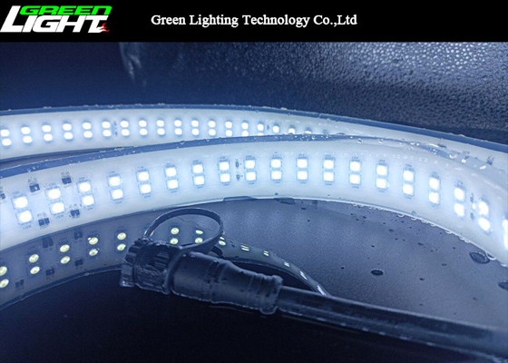 Πολυ χρώματος 2000Lum 24V 12W φω'τα 144LEDs λουρίδων των οδηγήσεων εύκαμπτα