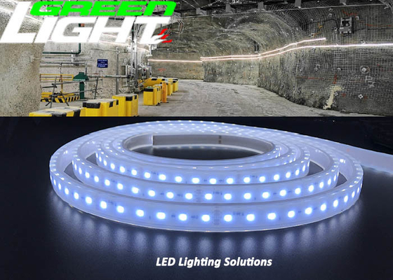 Εύκαμπτα φω'τα SMD2835 110V 1630Lum λουρίδων των αδιάβροχων οδηγήσεων EXIBII 17W/M