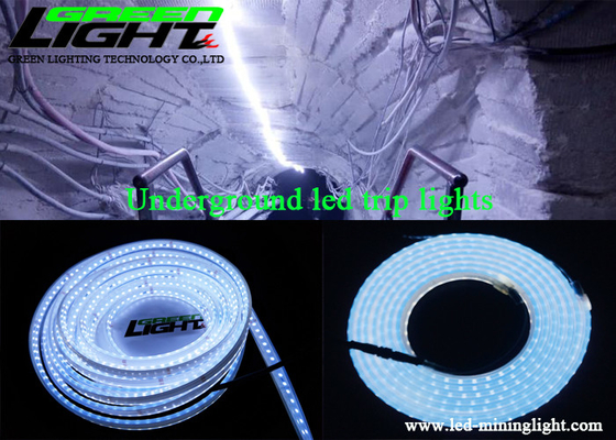 Οδηγημένα φω'τα 1100lm λουρίδων DC24V SMD5050 σιλικόνη για τη μεταλλεία