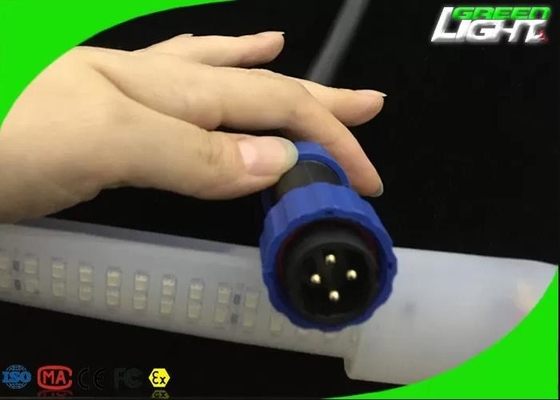 2230lum/m Silicone Led Strip Light Double Row DC36V/AC110V/220V SMD5050 30W/M White Color
