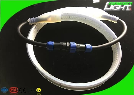 2230lum/m Silicone Led Strip Light Double Row DC36V/AC110V/220V SMD5050 30W/M White Color