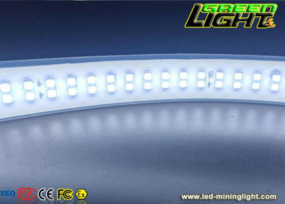 2230lum/m Silicone Led Strip Light Double Row DC36V/AC110V/220V SMD5050 30W/M White Color
