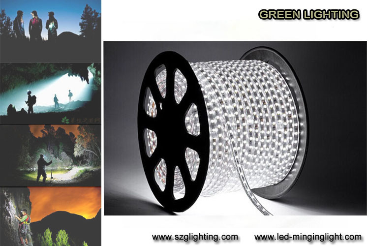 SMD5050 7.2W/Μ 0.6A ελαφρύς IP67 των ζωηρόχρωμων οδηγήσεων ασφάλειας εύκαμπτος αδιάβροχος βαθμός λουρίδων