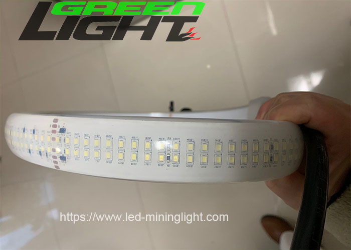 2230lum/m Silicone Led Strip Light Double Row DC36V/AC110V/220V SMD5050 30W/M White Color